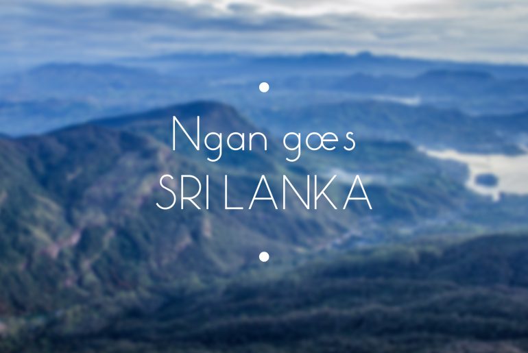 Tổng hợp kinh nghiệm du lịch Sri Lanka