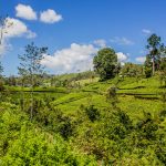 Scenic train journey from Kandy to Ella, Sri Lanka