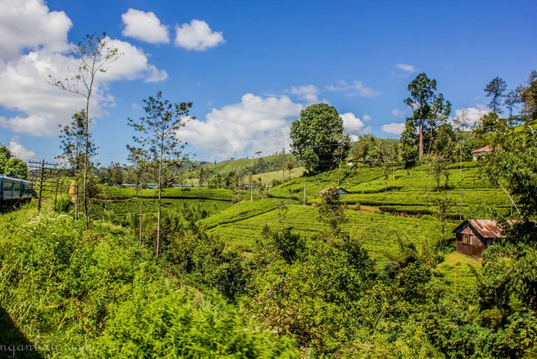 Scenic train journey from Kandy to Ella, Sri Lanka