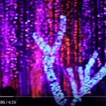 Xem đèn ở công viên Ayala Triangle Makati