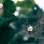 Tổng hợp kinh nghiệm du lịch bụi Đài Bắc và Đài Trung