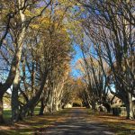 Cách mở tài khoản ngân hàng và mã số thuế ở New Zealand