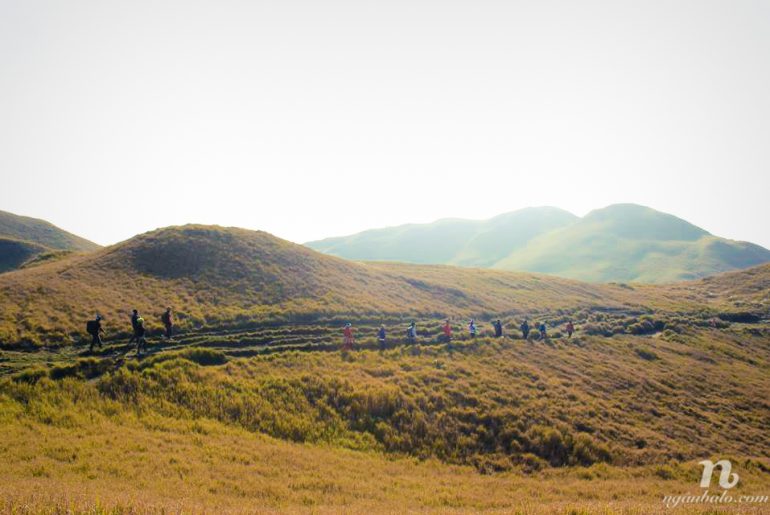 Kinh nghiệm leo núi Pulag, Philippines tự túc