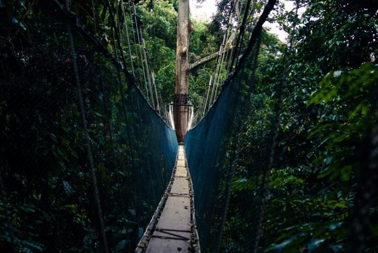 Cầu treo ở Poring Hotspring, Malaysia