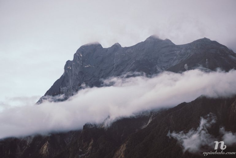 Kinh nghiệm Leo núi và khám phá rừng quốc gia Kinabalu