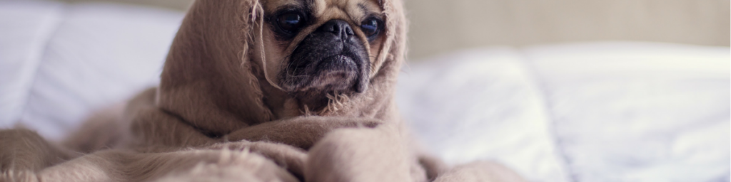 Tổng hợp các khách sạn, dorm, hostel tốt ở Manila, Philippines