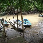 Một ngày trải nghiệm tour du lịch Miền Tây