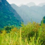 Nhật ký du lịch bụi Lào (2): Hai ngày bình yên ở Vang Vieng: Đồng quê, Blue Lagoon và Phangern View Point