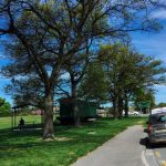 Road Trip vòng quanh New Zealand (4): Fairlie