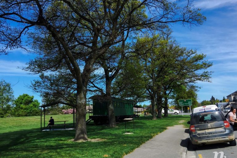 Road Trip vòng quanh New Zealand (4): Fairlie