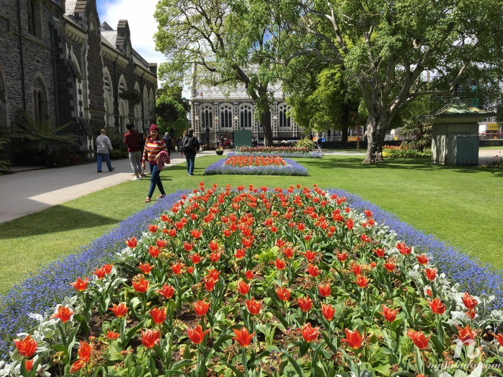 Road Trip vòng quanh New Zealand (3): Christchurch