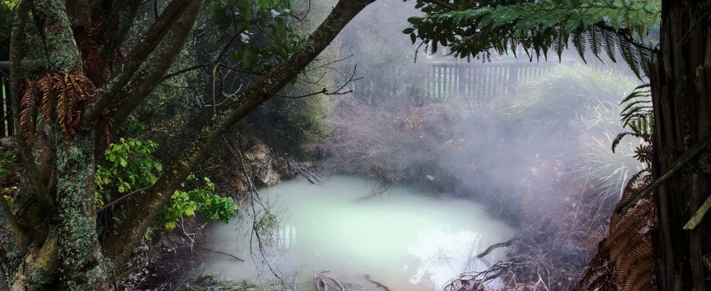 Road Trip vòng quanh New Zealand (5): Rotorua