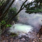 Road Trip vòng quanh New Zealand (5): Rotorua
