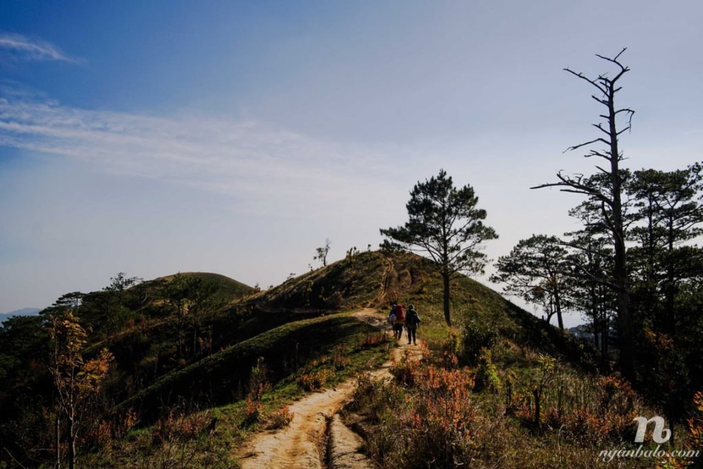 trek Tà Năng - Phan Dũng 2 ngày 1 đêm