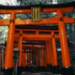 Du lịch bụi Nhật Bản (6): Hai ngày ở cố đô Kyoto - Fushimi Inari và Arashiyama