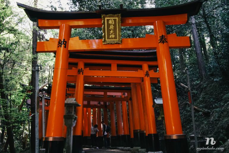 Du lịch bụi Nhật Bản (6): Hai ngày ở cố đô Kyoto - Fushimi Inari và Arashiyama