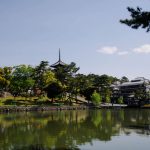 Một ngày ở Nara - Thăm nai ở công viên Nara và chùa Todai-ji