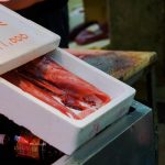 Du lịch bụi Nhật Bản (12): Thăm Chợ cá trung tâm Osaka và ăn sushi ở Endo Sushi