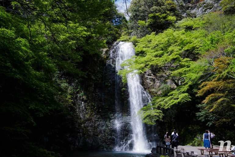 Du lịch bụi Nhật Bản (13): Thác nước Minoo (Minoh) ở Osaka + Tempura lá phong - Phố Anime