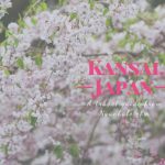 Kinh nghiệm du lịch bụi Osaka, Kyoto, Nara ở Nhật Bản