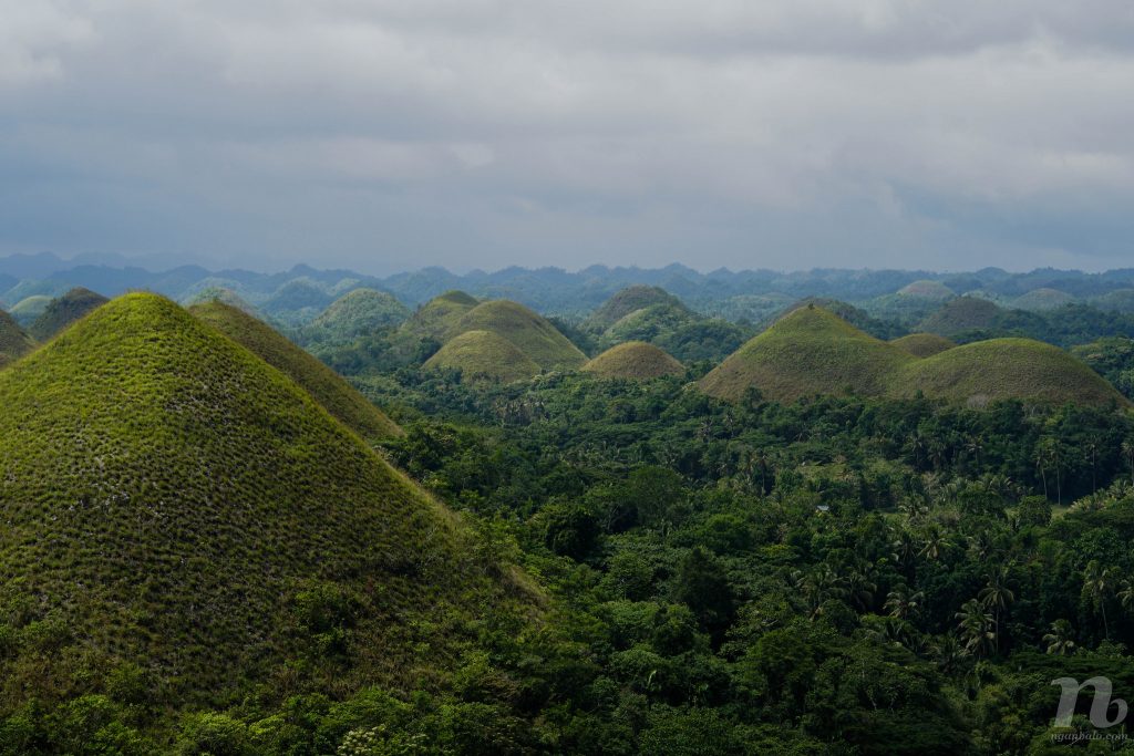 Kinh nghiệm du lịch bụi Bohol, Philippines