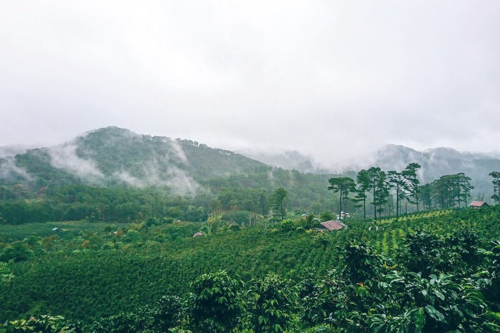 Trải nghiệm Trek Konroong Trail 2 ngày 1 đêm