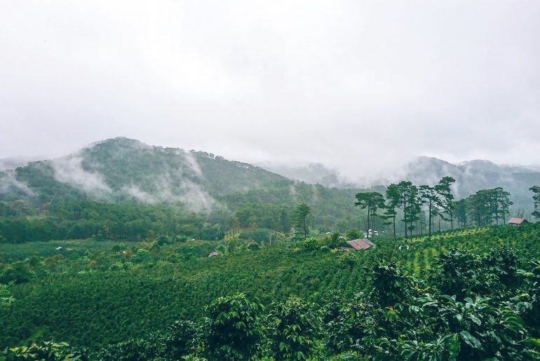 Trải nghiệm Trek Konroong Trail 2 ngày 1 đêm