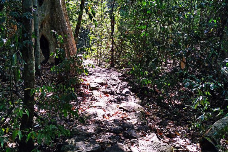 Kinh nghiệm đi Vườn Quốc Gia Nam Cát Tiên