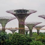 Trở lại Singapore (2): ArtScience Museum và Gardens by the Bay