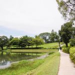 Trek MacRitchie Reservoir